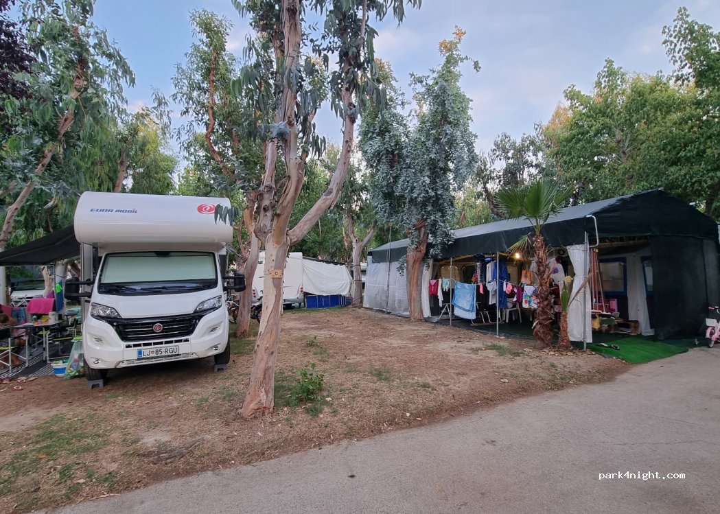 Camping Eucaliptus — foto