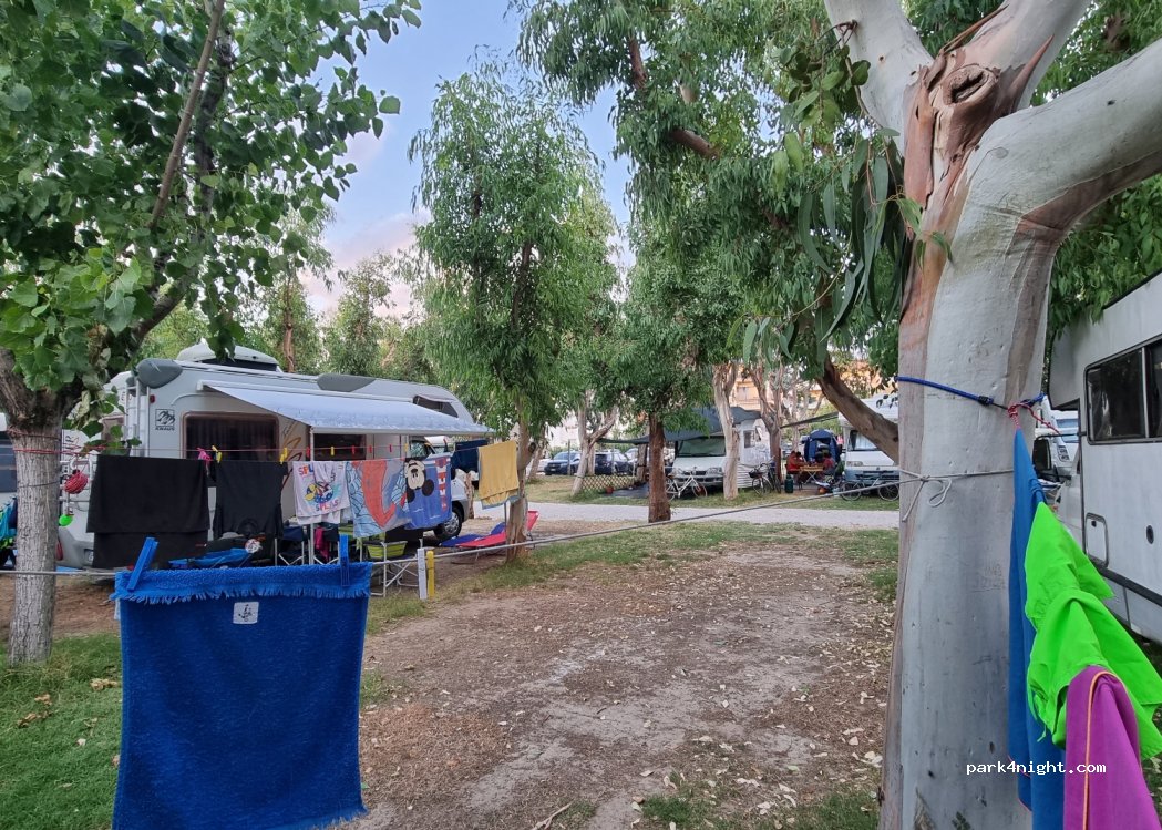 Camping Eucaliptus — foto 3