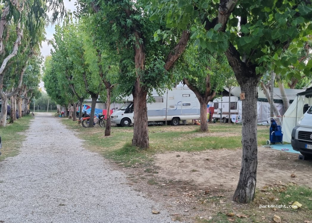 Camping Eucaliptus — foto 4