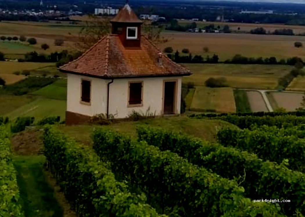 Weingut und Hausbrennerei Sexauer — foto 2
