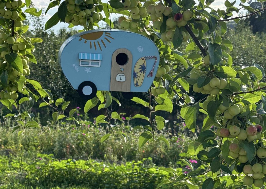 Weingut und Hausbrennerei Sexauer — foto 5