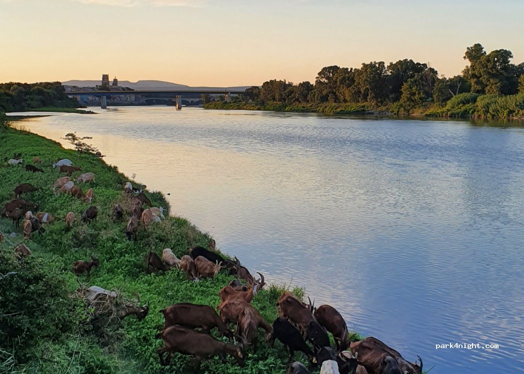(30130) Pont-Saint-Esprit - 1132 Chemin de Beauchamp — foto 2