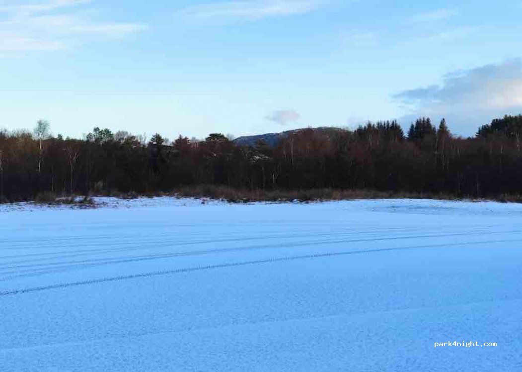 (5563) Fordesfjorden - 331 Høievegen — foto