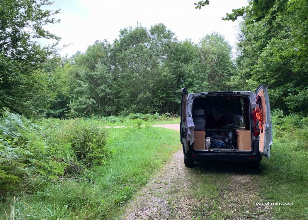 (55170) Cousances-les-Forges - Unnamed Road — foto 2