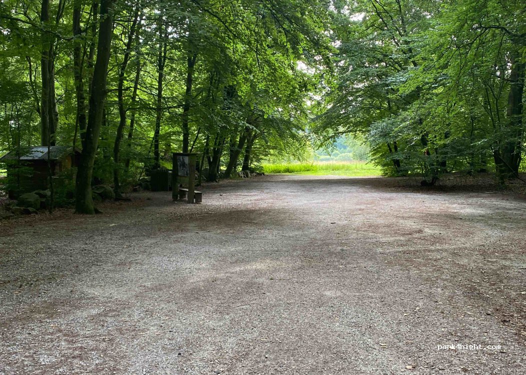 (247 95) Torna hallestad - — foto