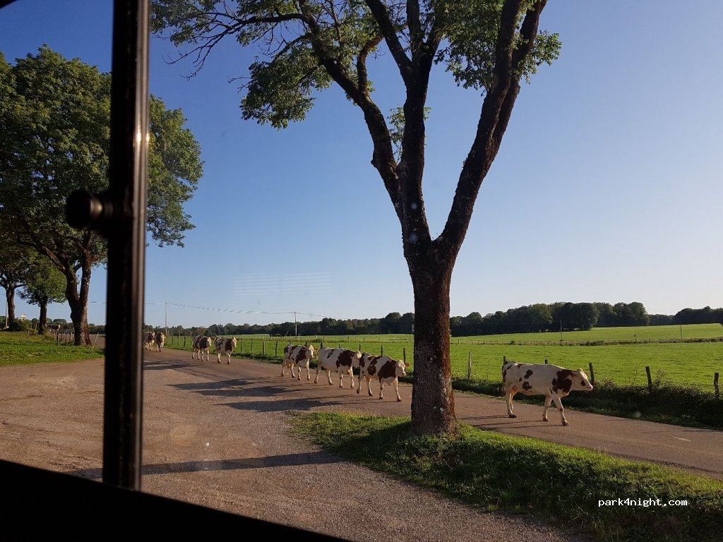 (39210) Ladoye-sur-Seille - 310 Route du Belvédère — foto 2