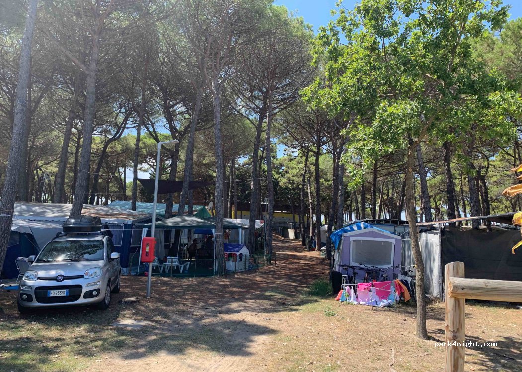 Camping Spina Village — foto 2