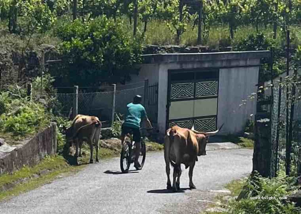Parque Autocaravanismo de Soajo — foto 4