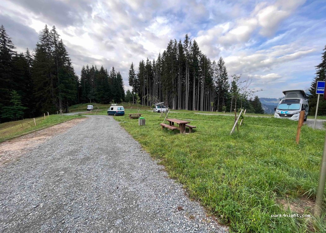 (74260) Les Gets - Route du Mont Caly — foto 3