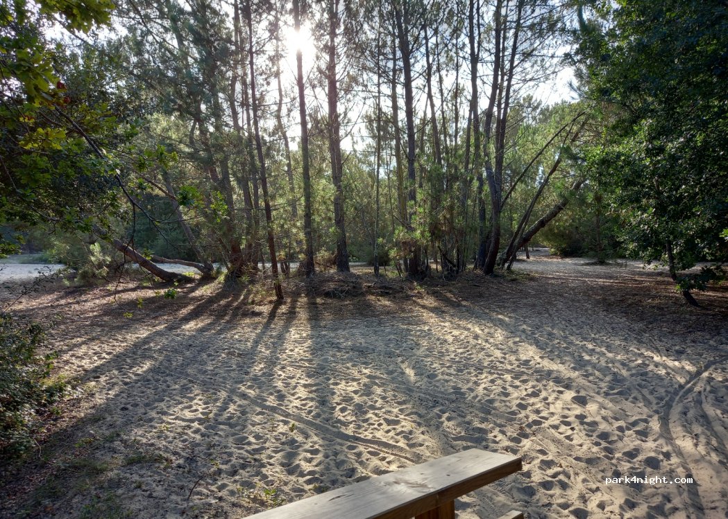 (40200) Mimizan - Unnamed Road — foto 4