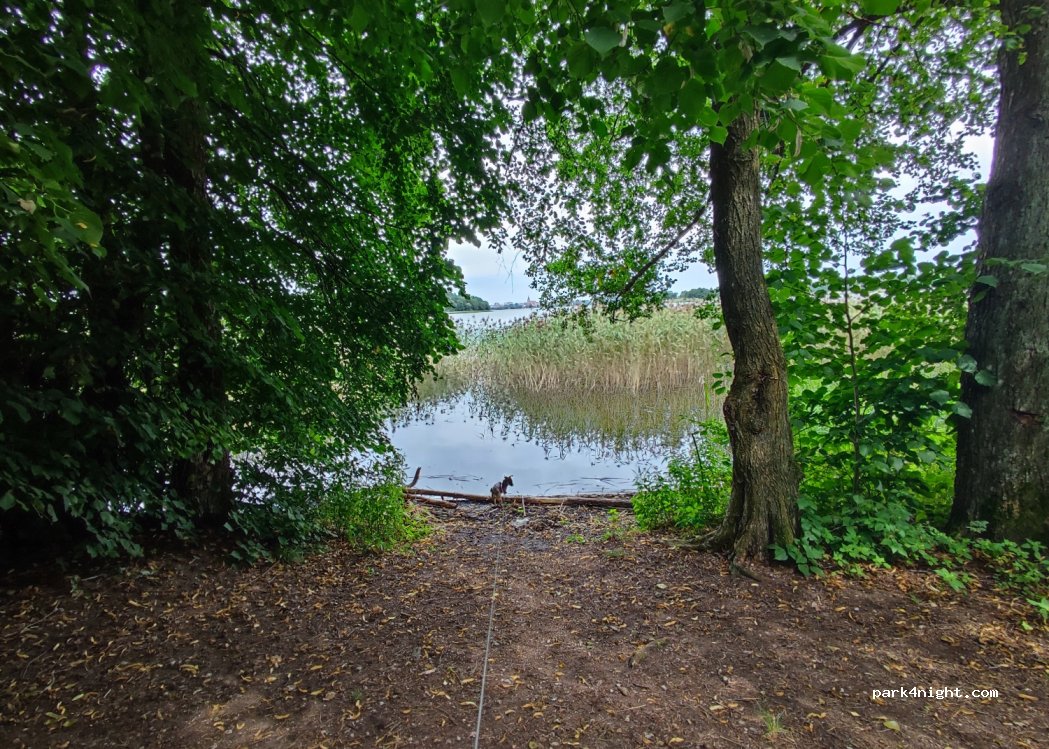 (19-300) Ełk - 24 Baranki — foto 3