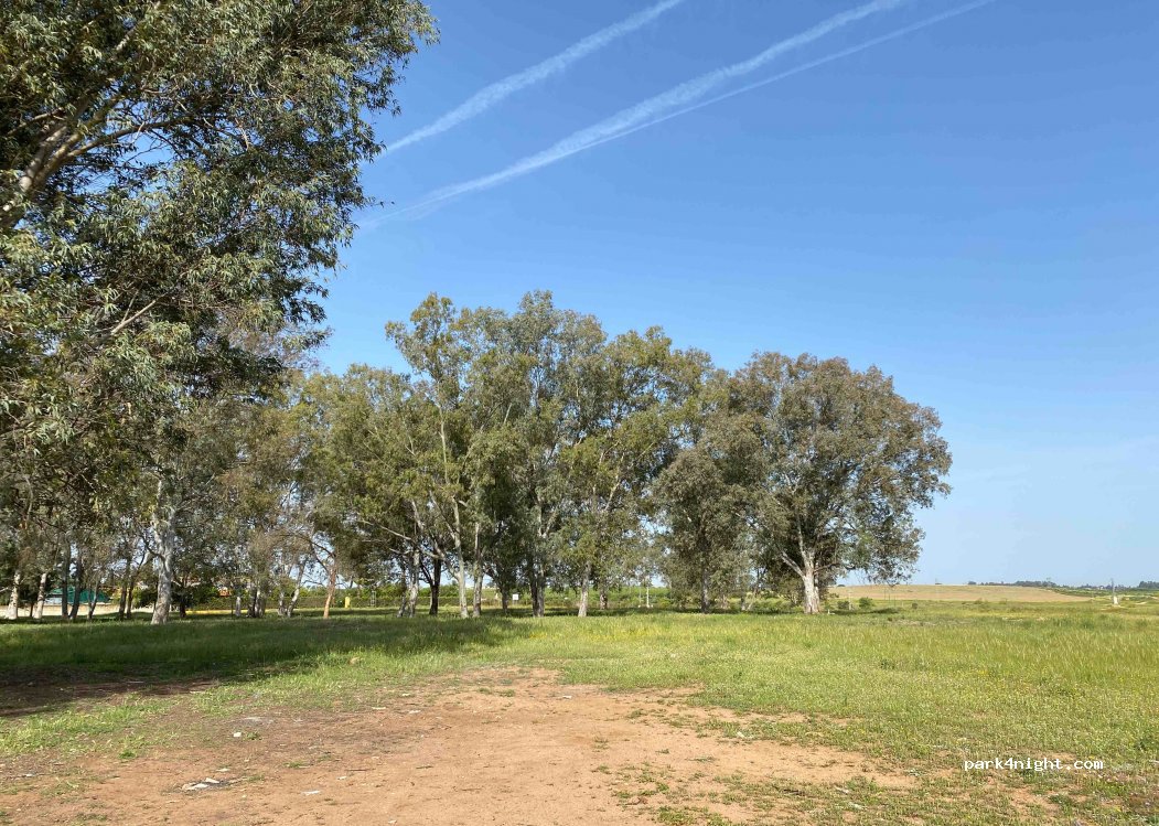 (41500) Alcalá de Guadaíra - 7 Calle Gorrión — foto 2