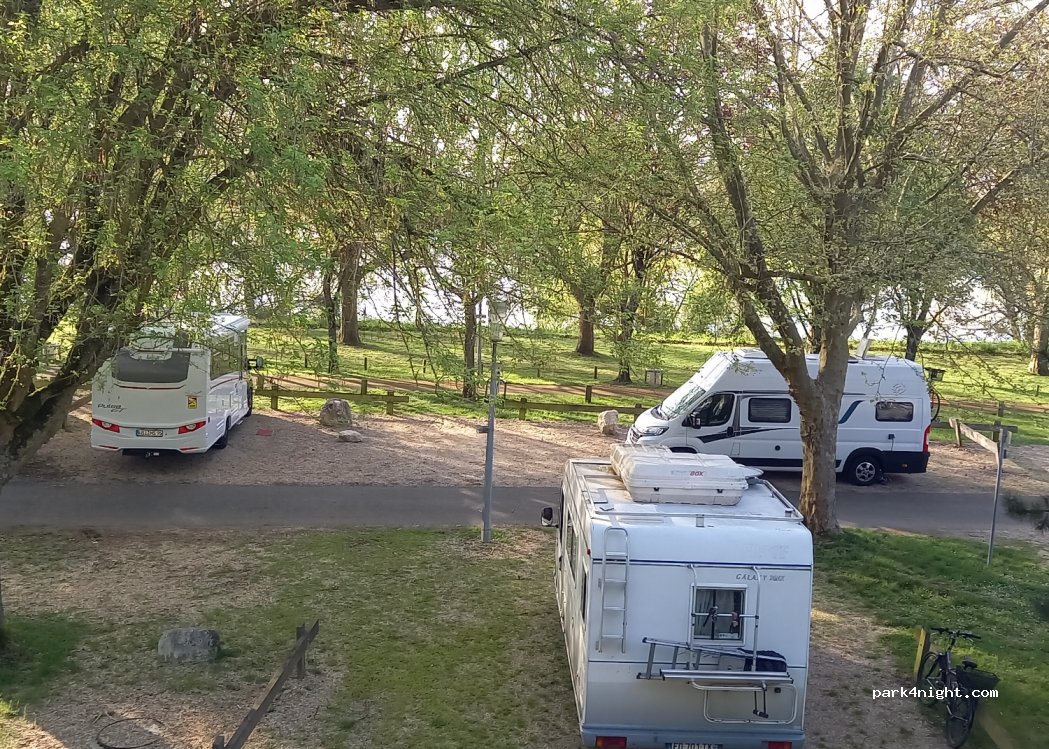(45380) La Chapelle-Saint-Mesmin - Chemin de Fourneaux — foto