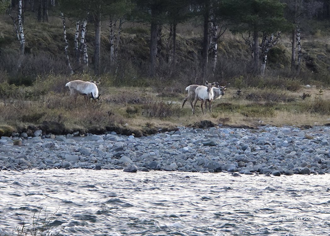 (2683) Tessanden - 737 Sallivegen — foto 5