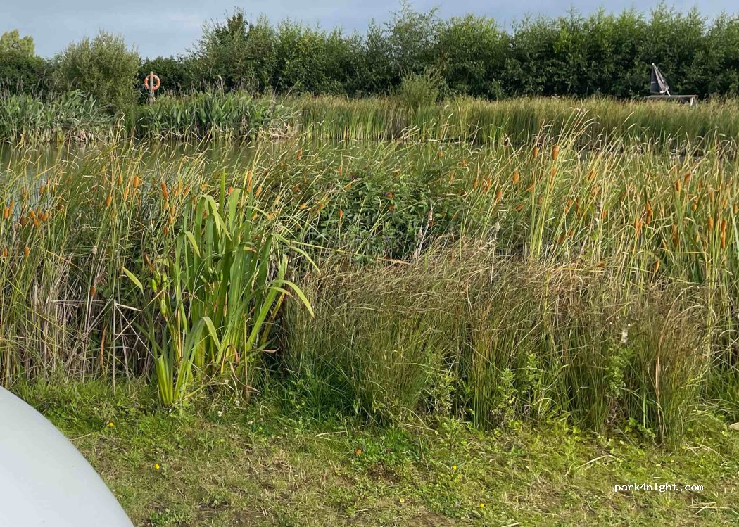 Halfway Caravan & Camping Park — foto 3