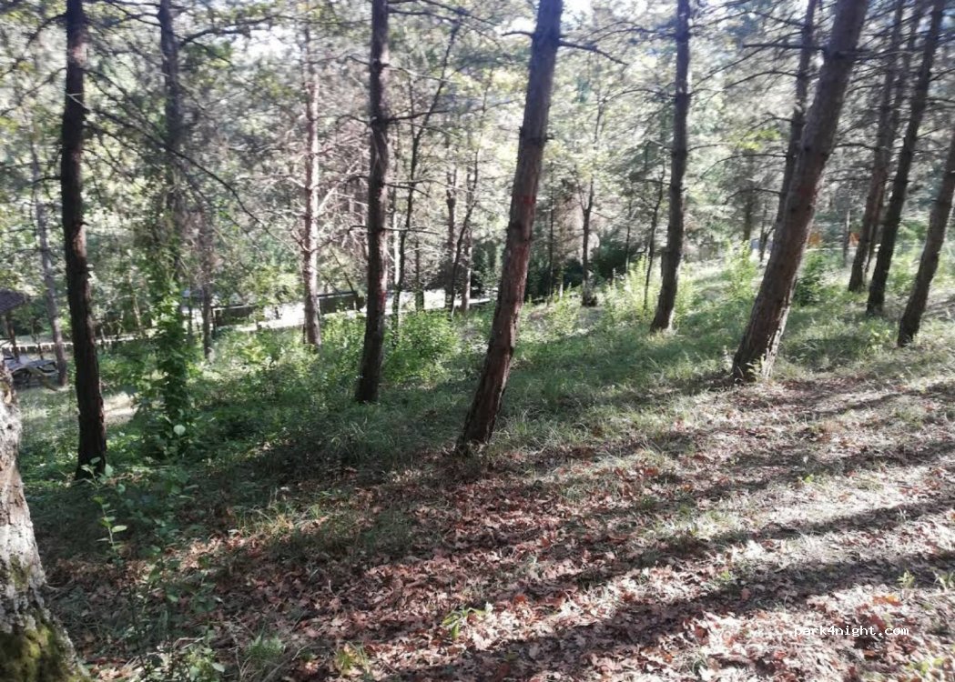(67980) Bakacakkadı - Zonguldak Çaycuma Yolu — foto 2