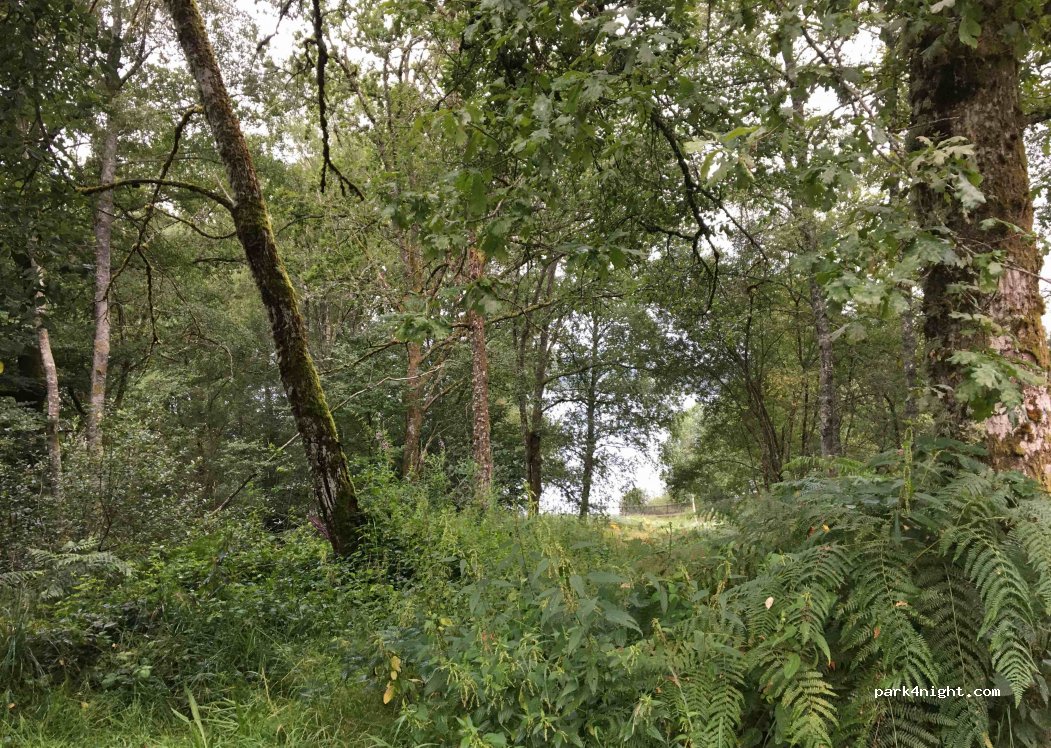 (23460) Royère-de-Vassivière - D3 — foto 3