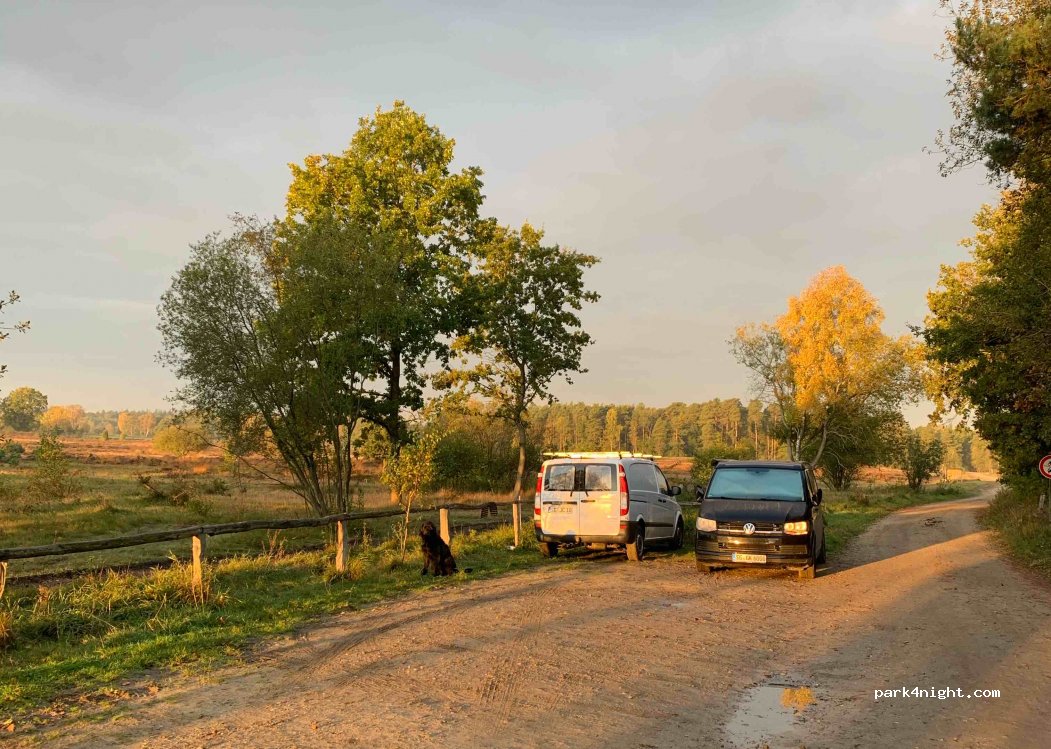 (29640) Schneverdingen - K51 — foto 2