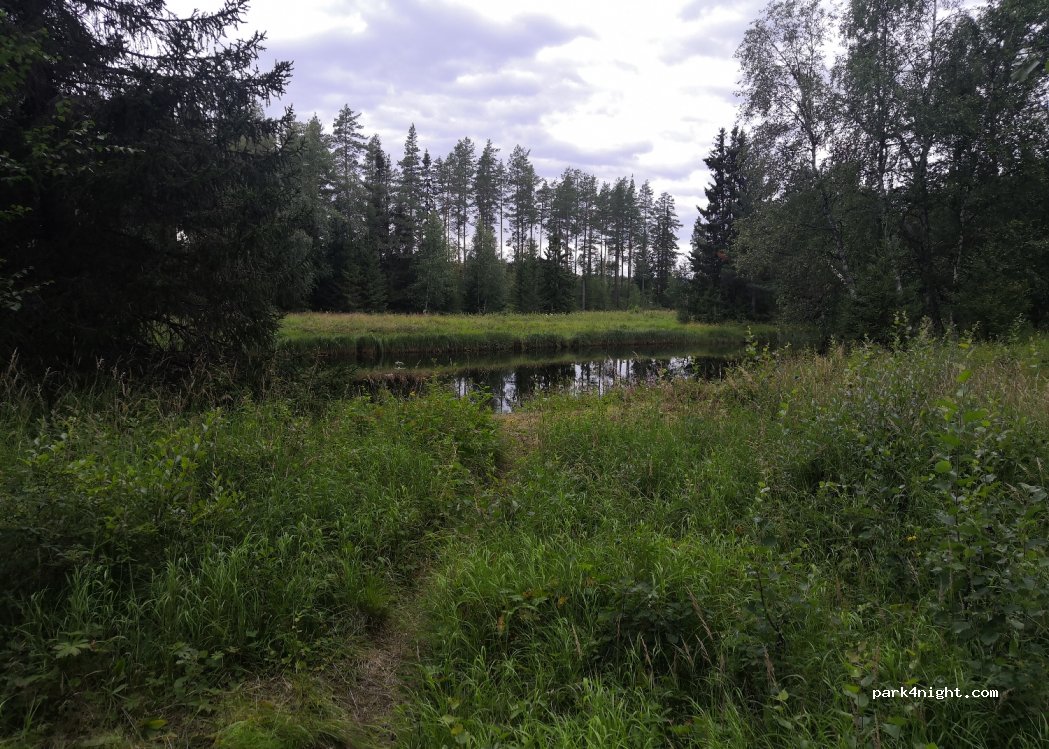 (780 69) Sörsjön - Transtrandsvägen — foto 2