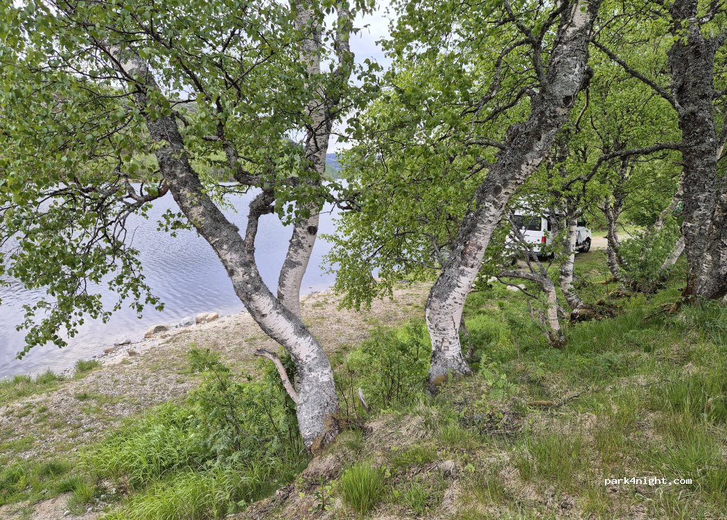 (4443)  - 1 Sekundær Fylkesveg 975 — foto 4