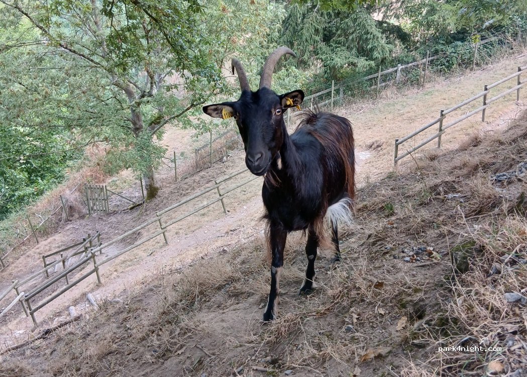 (79300) Bressuire - 40 Chemin de la Fontaine — foto 3
