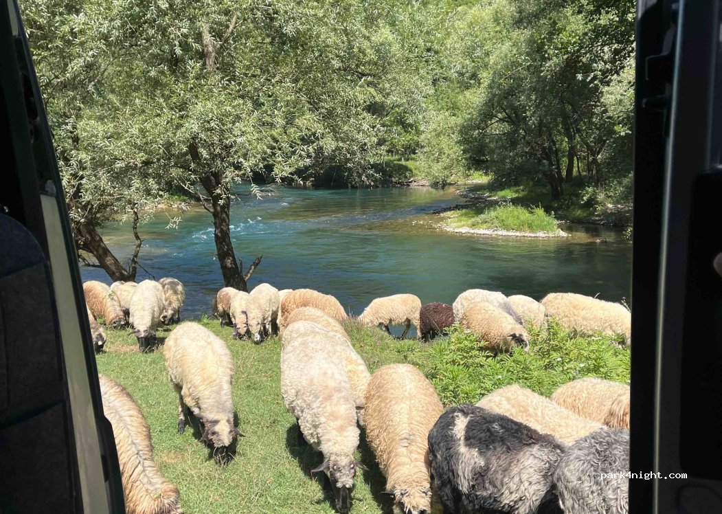 (70270) Jezero - R415 — foto 2