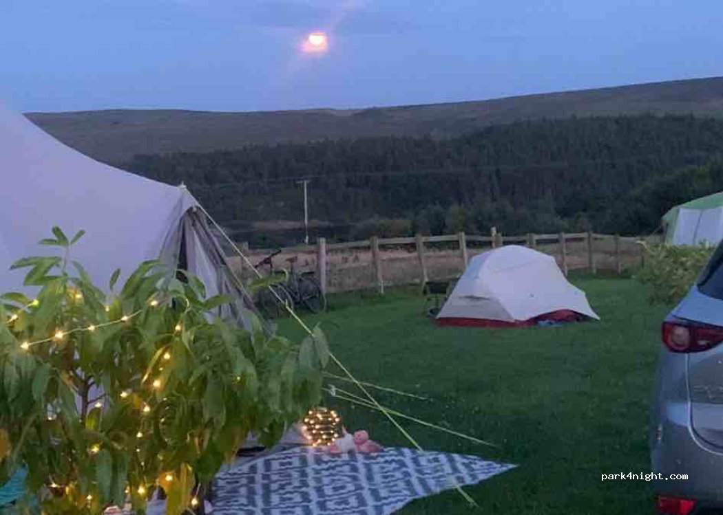 Hoodlands Farm Campsite — foto