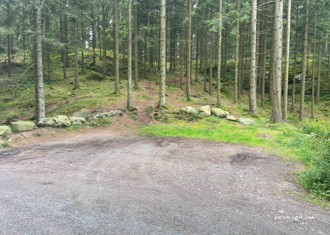 (439 74) Fjärås - Gamla Tostaredsvägen — foto