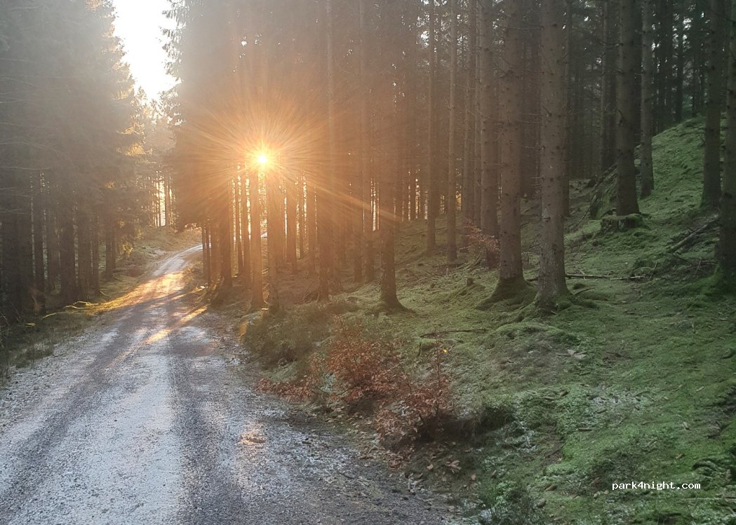 (439 74) Fjärås - Gamla Tostaredsvägen — foto 2