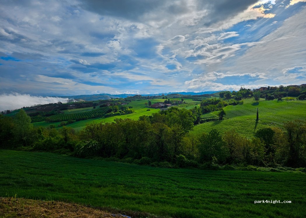 (12060) Belvedere Langhe - — foto 4