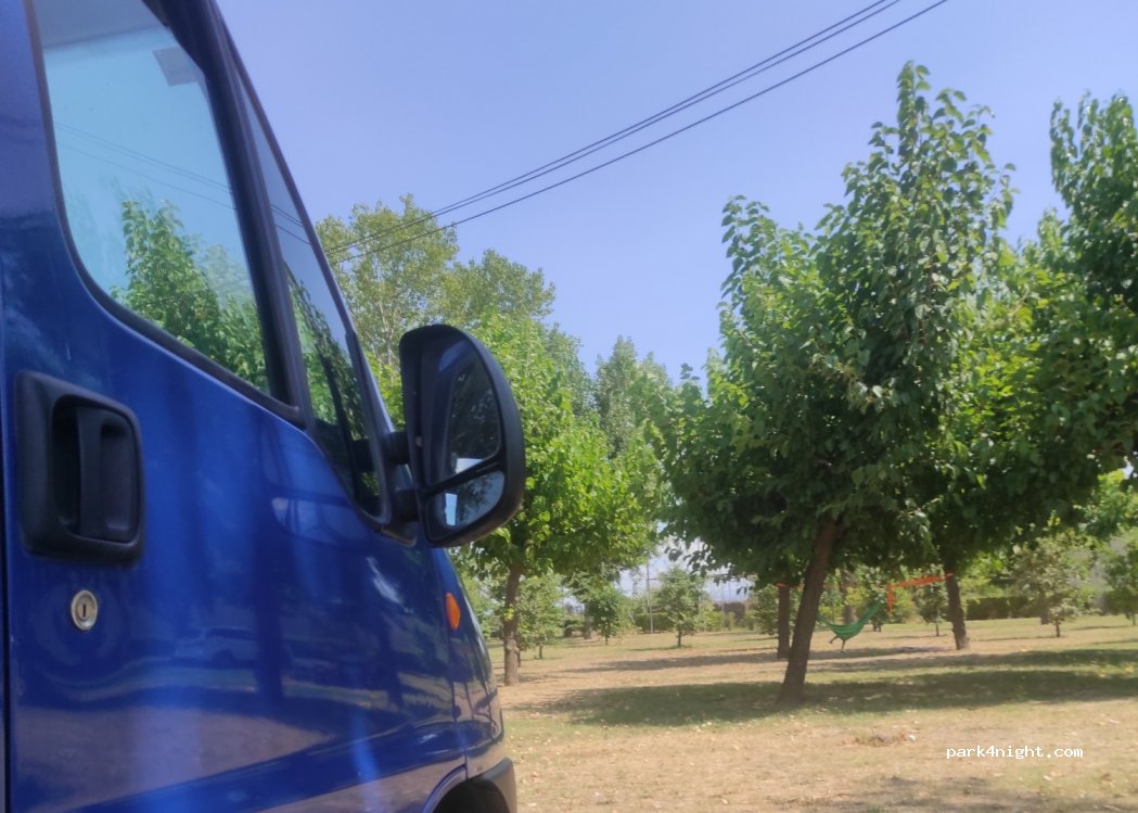 (25198) Lleida - 39 Partida Peixa Som. Mes — foto 2