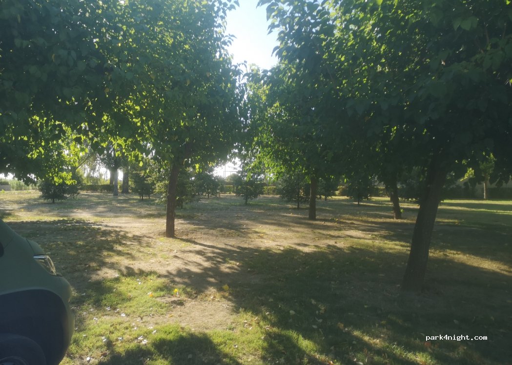 (25198) Lleida - 39 Partida Peixa Som. Mes — foto 3