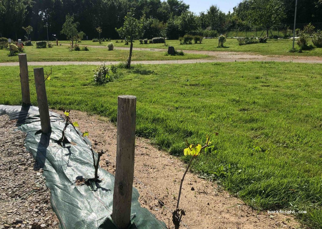 Camping Les Marsouins — foto 2