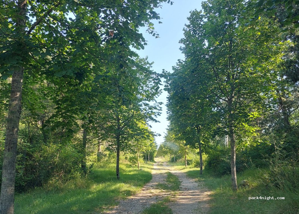 (6242) Materija - Markovščina — foto 2