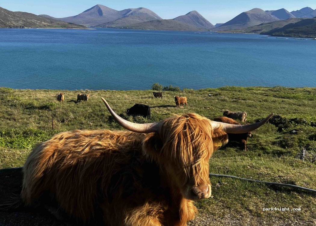 (IV40 8NY) Isle of Raasay - — foto 3