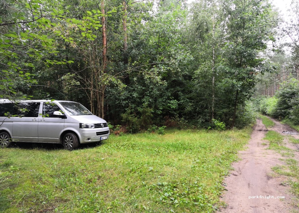 (17-100) Ploski - Droga Krajowa 19 — foto