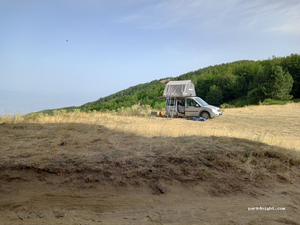 (87053) Celico - SP256 — foto
