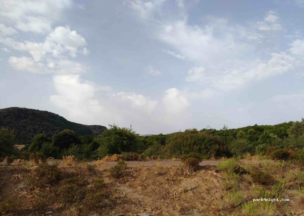 (08037) Seui - Unnamed Road — foto