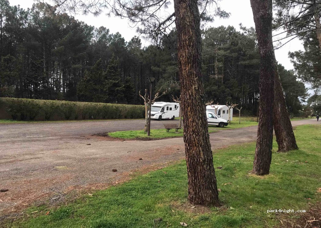 (40480) Vieux-Boucau-les-Bains - Avenue de la Forêt — foto 3