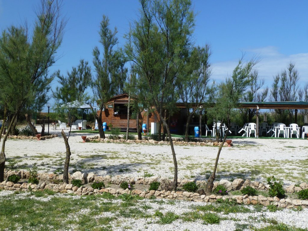 Eucalyptus camper stop area — foto