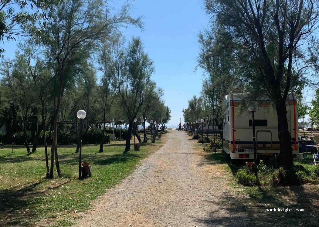 Eucalyptus camper stop area — foto 3