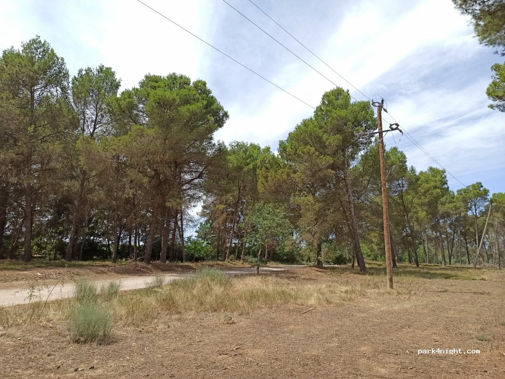(25111) Lérida - Autovía Huesca - Lleida — foto