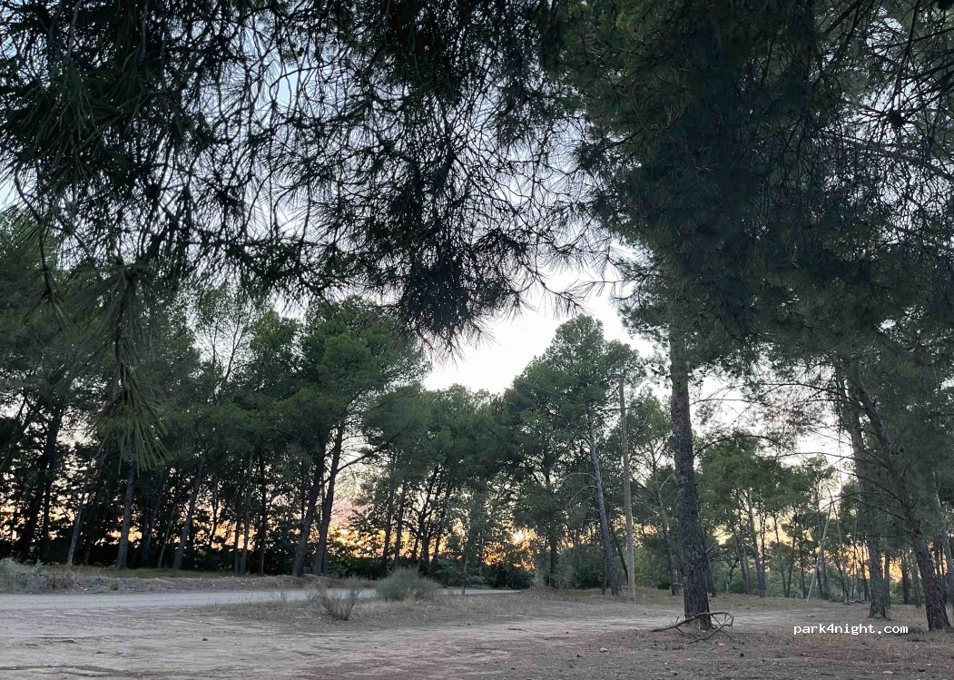(25111) Lérida - Autovía Huesca - Lleida — foto 4