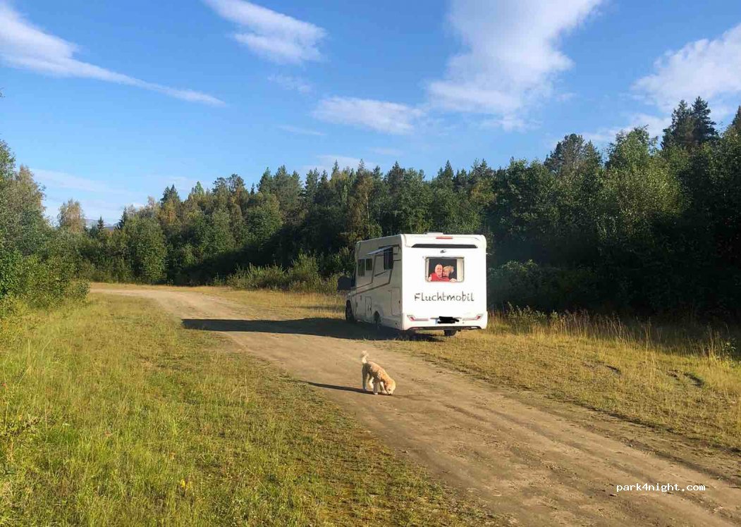 (9321) Moen - 237 Primær Fylkesveg 854 — foto