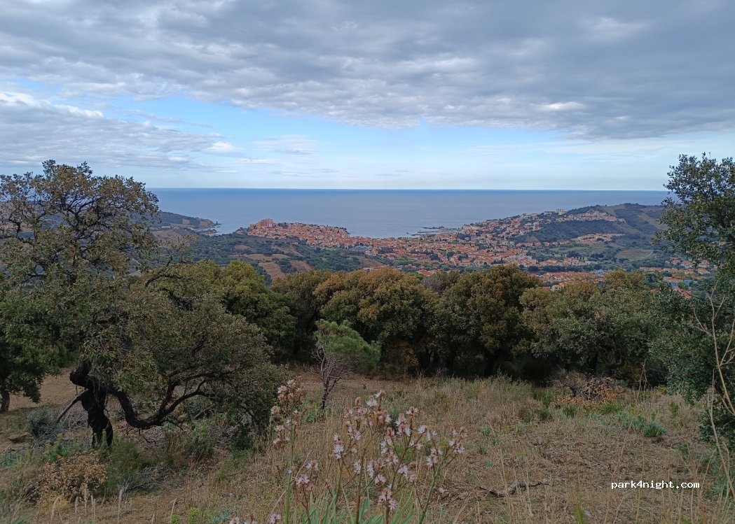 (66650) Banyuls-sur-Mer - Sarrat de l'Ouillastre Oué — foto 2