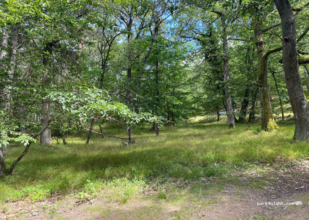 (68920) Wintzenheim - Route des 5 Châteaux — foto