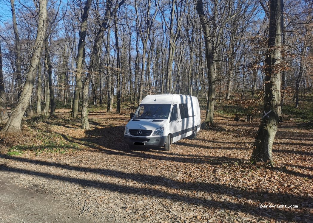 (21000) Novi Sad - Unnamed Road — foto