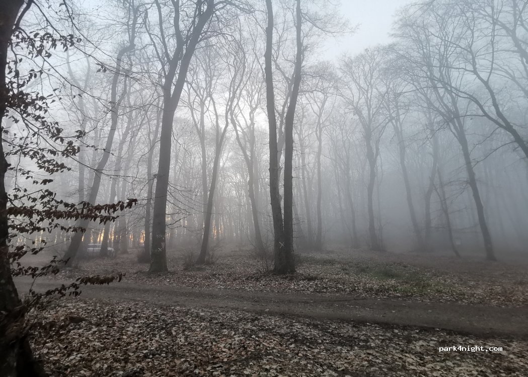 (21000) Novi Sad - Unnamed Road — foto 2