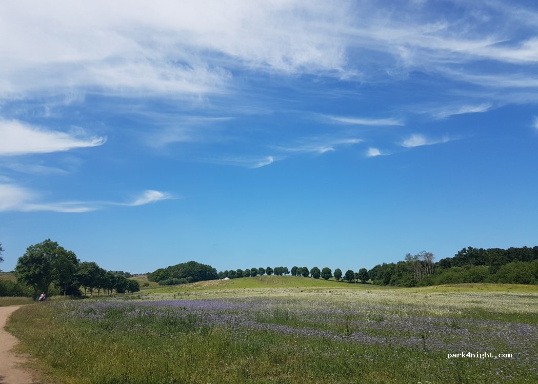 (17039) Wulkenzin - 19 Förstersteg — foto 2