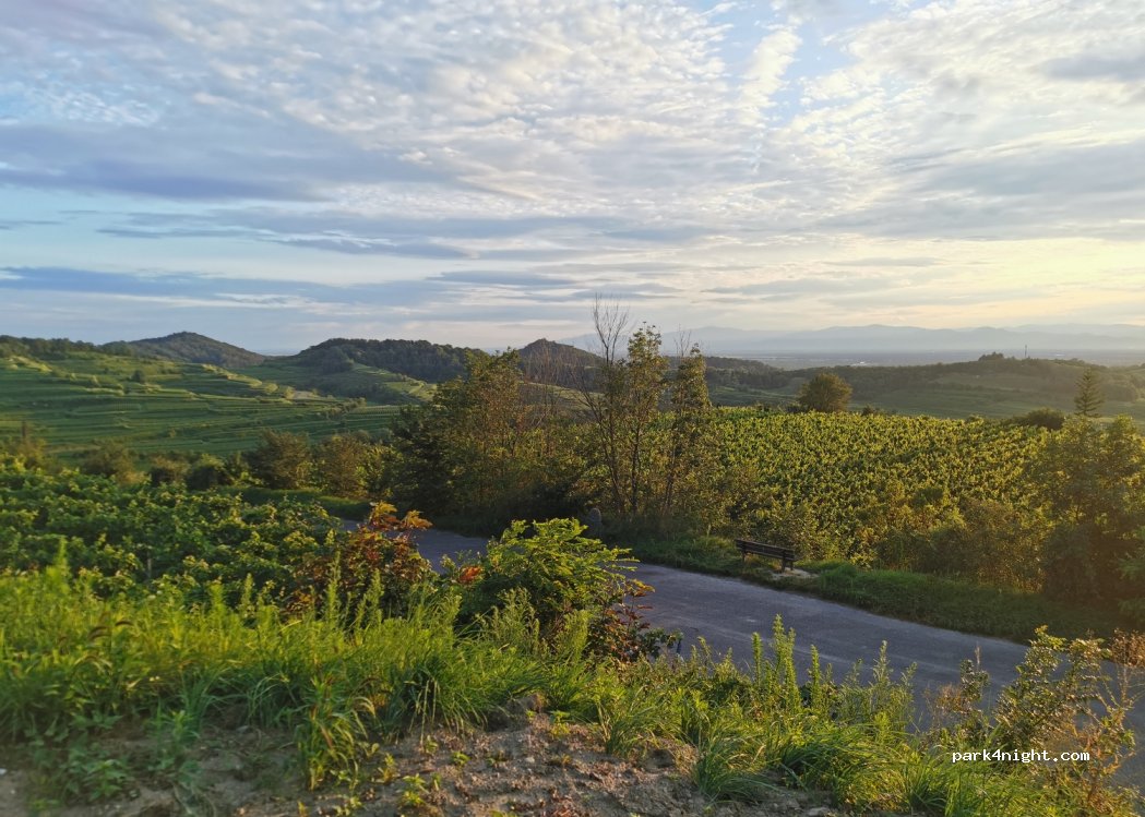 (79235) Vogtsburg im Kaiserstuhl - 21 Neunlindenstraße — foto 3